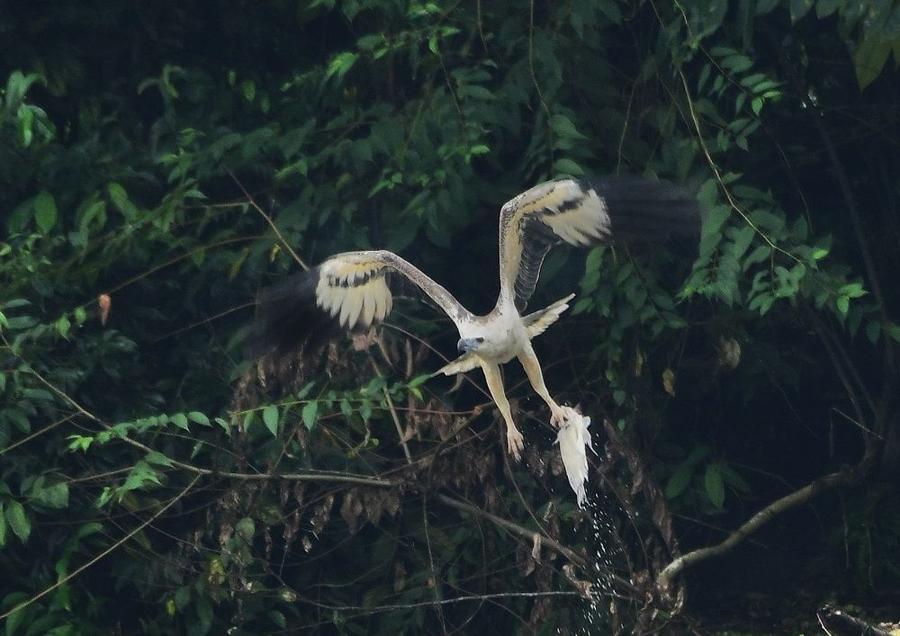 Photograph by Uddika Amarasinghe