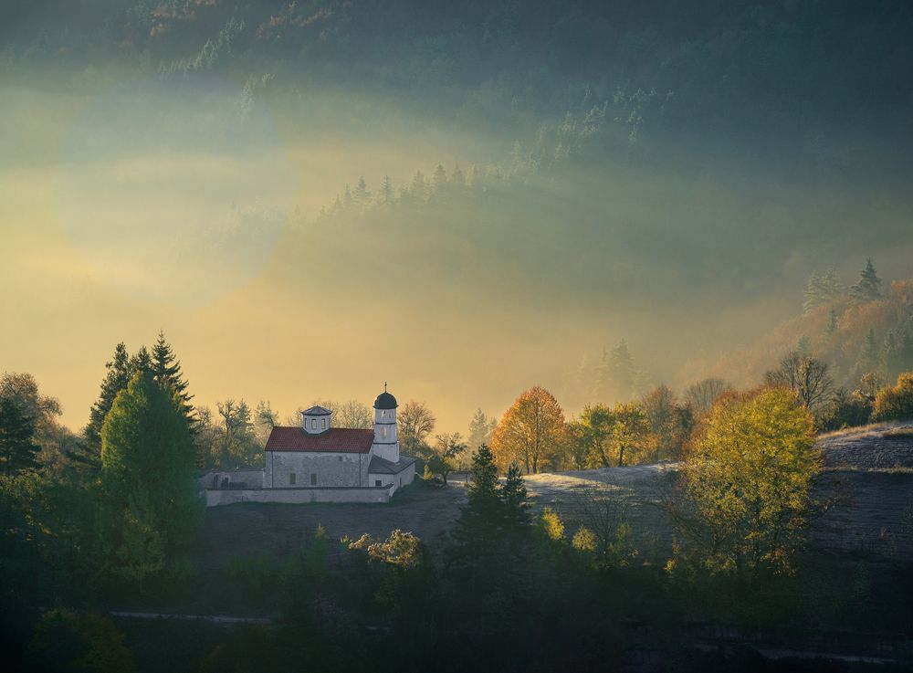 Fog in golden autumn