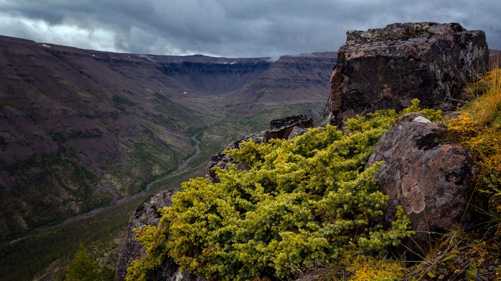 Photograph by Сергей Андреев