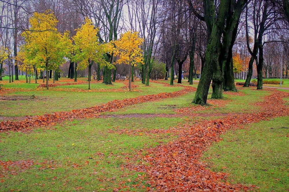 дорожки