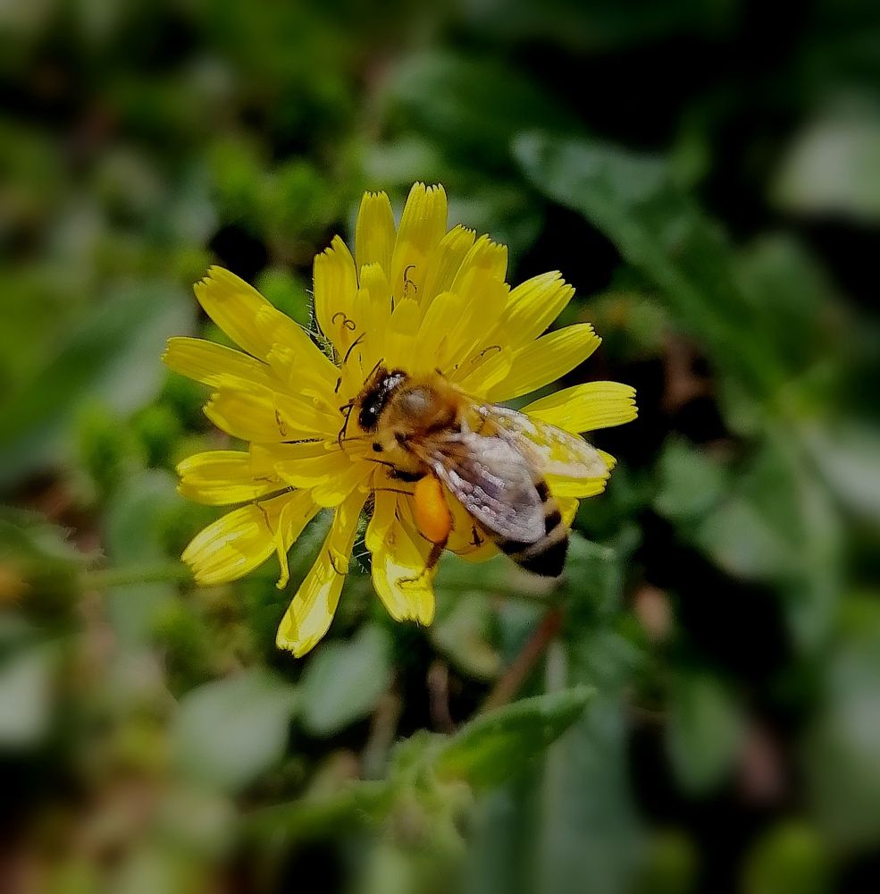 Photograph by Vesna Petkoska