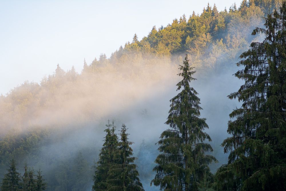 Photograph by Cristian Brancu