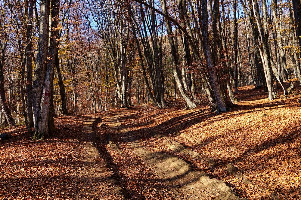 Photograph by Михаил Баевский