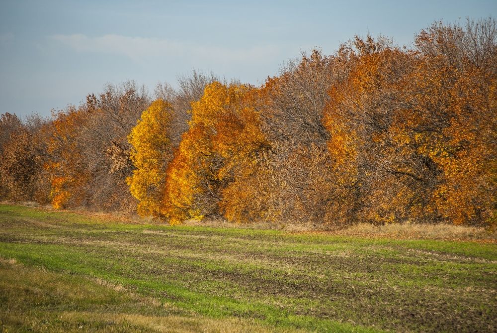 Фотография автора Алексей Самойлов