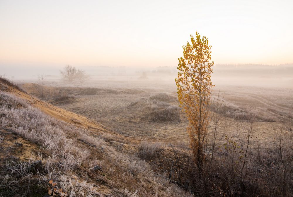Фотография автора Валерий Лушин