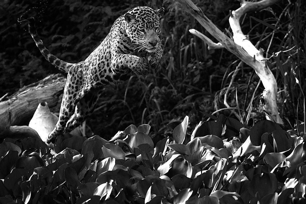 Photograph by  Евгений