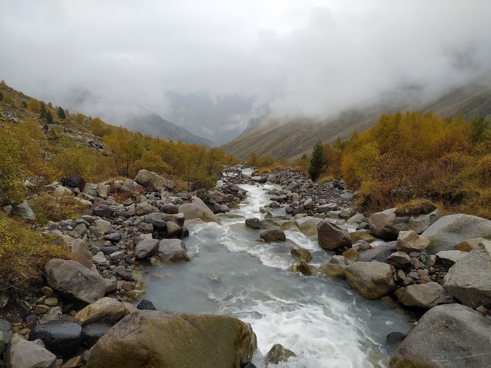 Фотография автора Алексей Самойлов