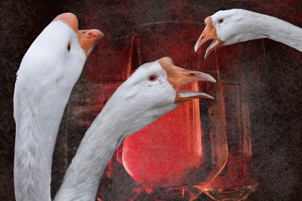 Critics at an exhibition of paintings.