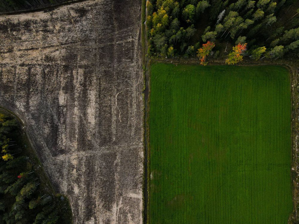 Photograph by Евгений Авдеев