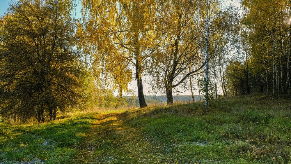 Фотография автора Александр Буренко