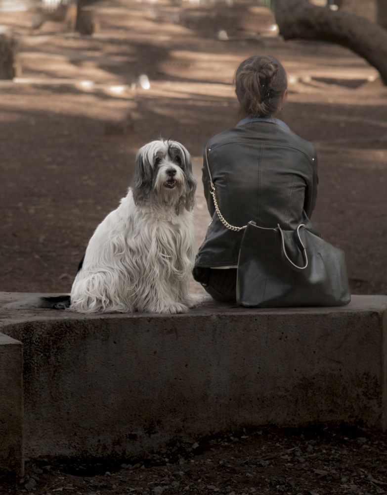 Photograph by Joaquin Silva