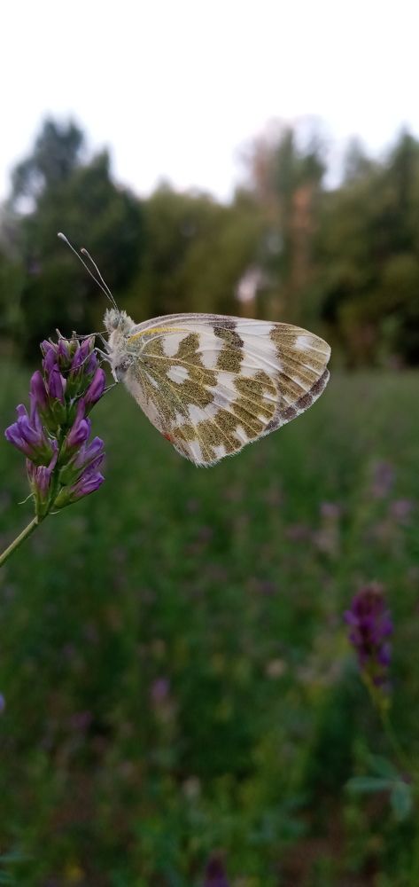 Photograph by Roghayeh Danandeh