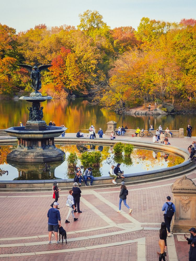 Photograph by Елена Башмакова