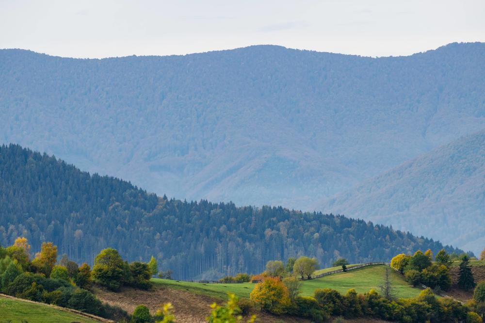 Photograph by Вікторія