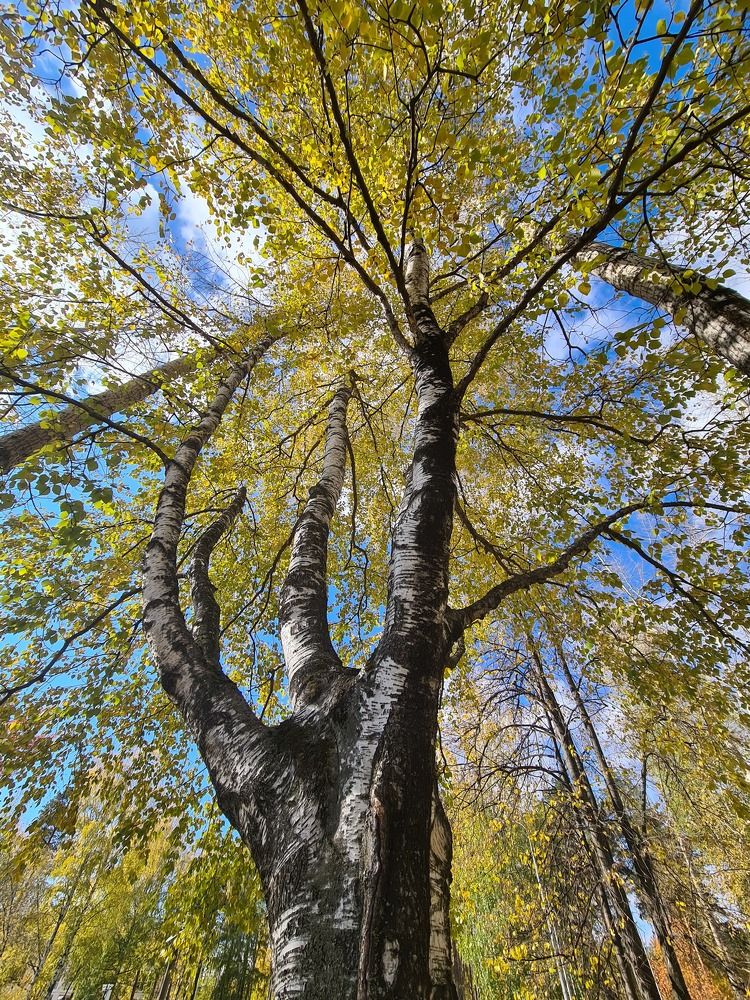 Photograph by Ольга Кротова