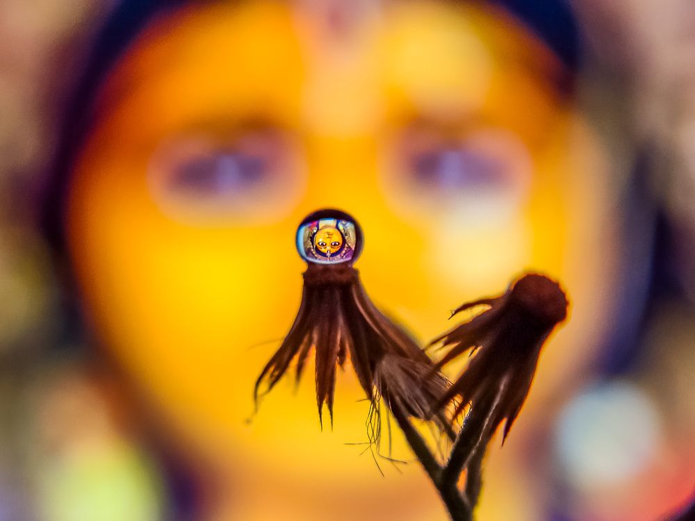 Photograph by Dipankar Patra