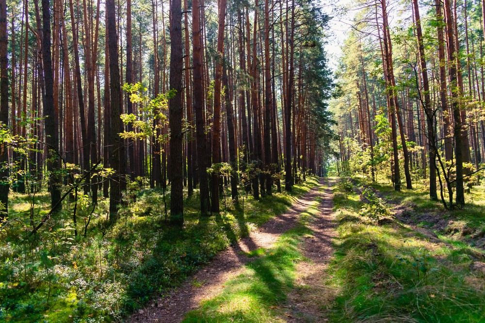 Photograph by Вікторія