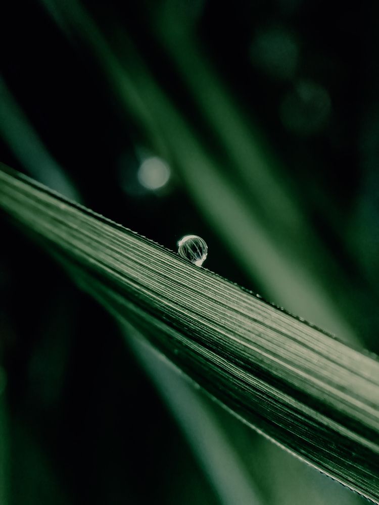 Photo #6754772