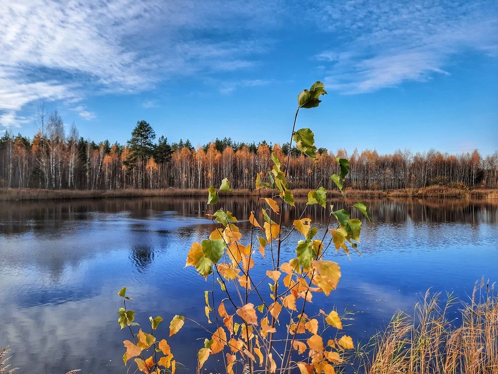 Photograph by Михаил Рассказ