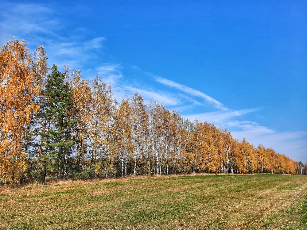 Photograph by Михаил Рассказ