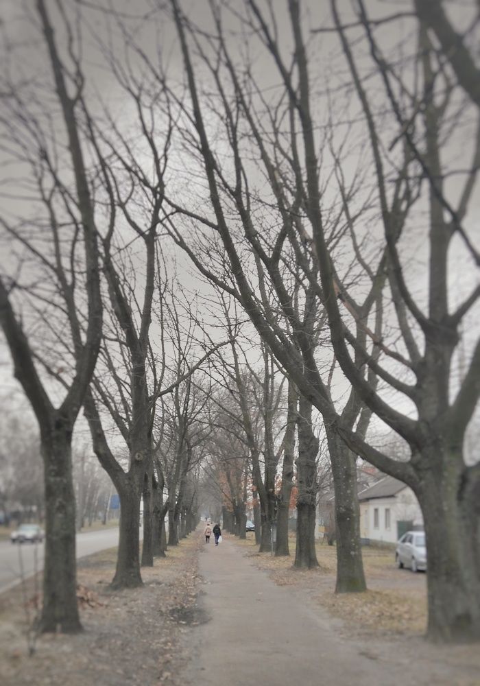 Photograph by Дарья