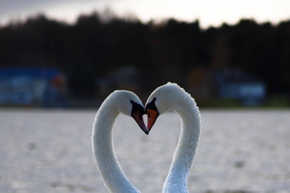 Photograph by Дима Захаров