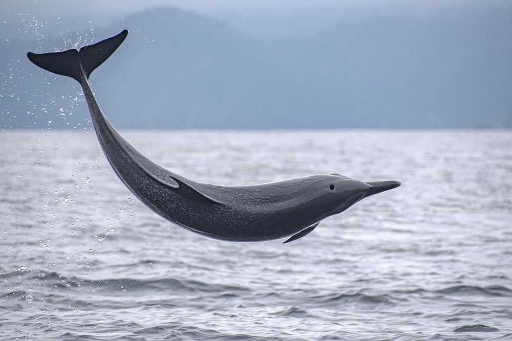 Photograph by Esteban Duque Mesa