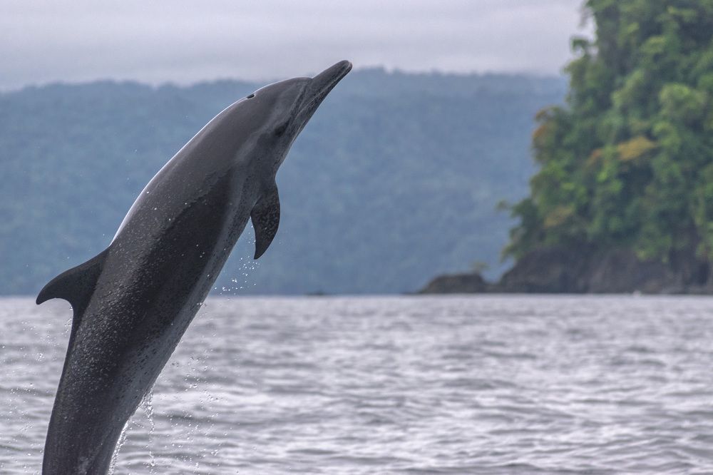 Photograph by Esteban Duque Mesa