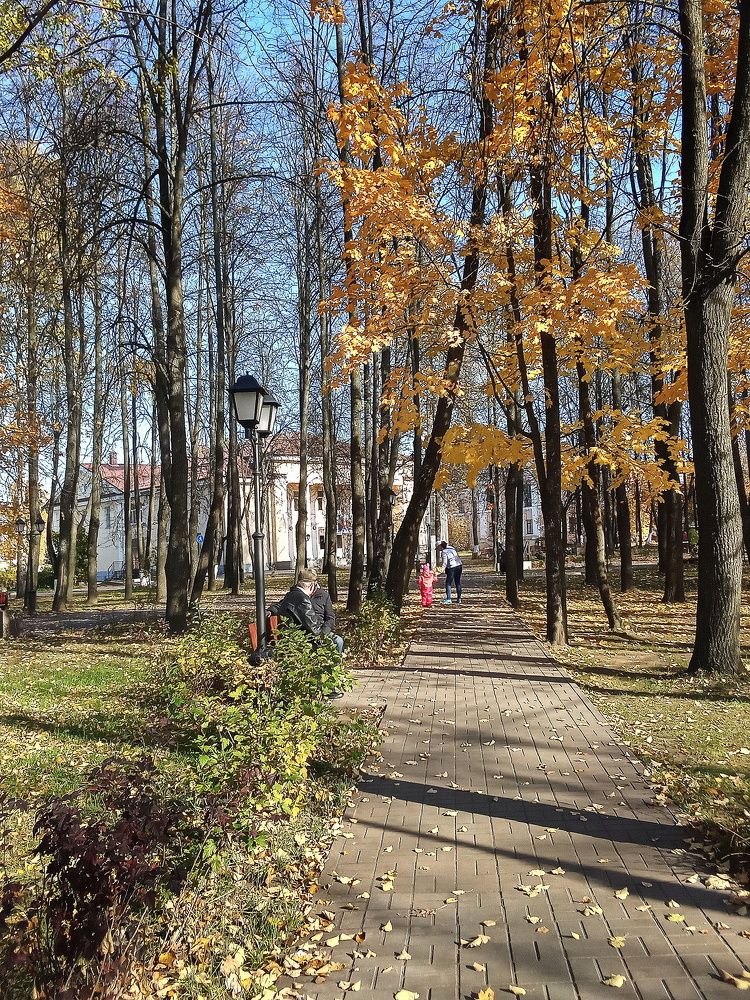 Осенняя  дорожка