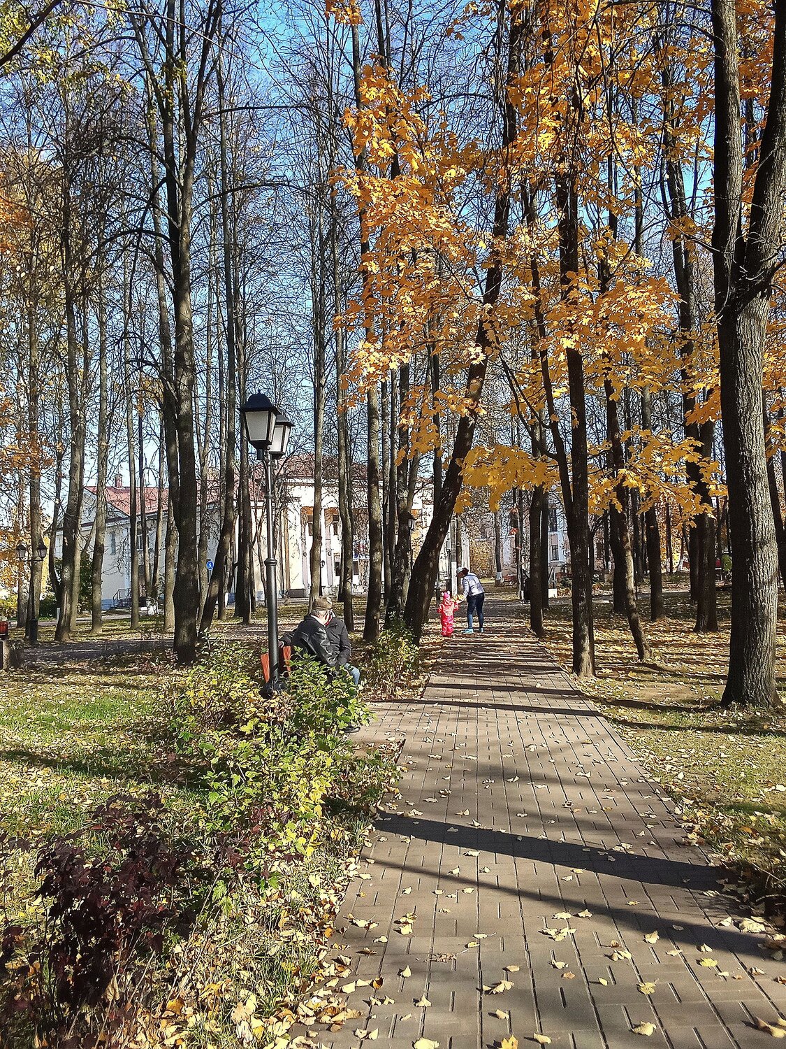 Осенняя  дорожка