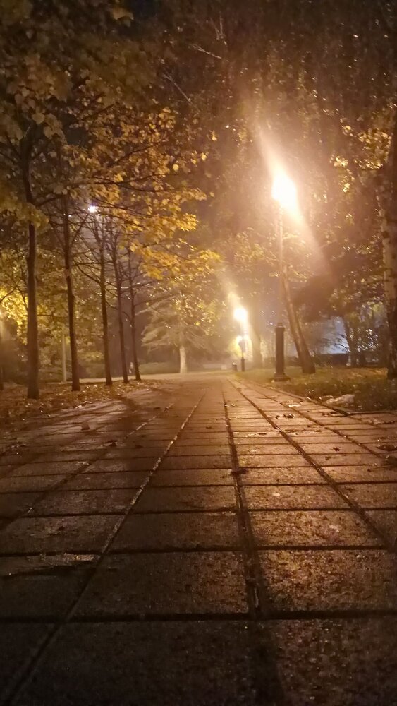 Photograph by Татьяна Син