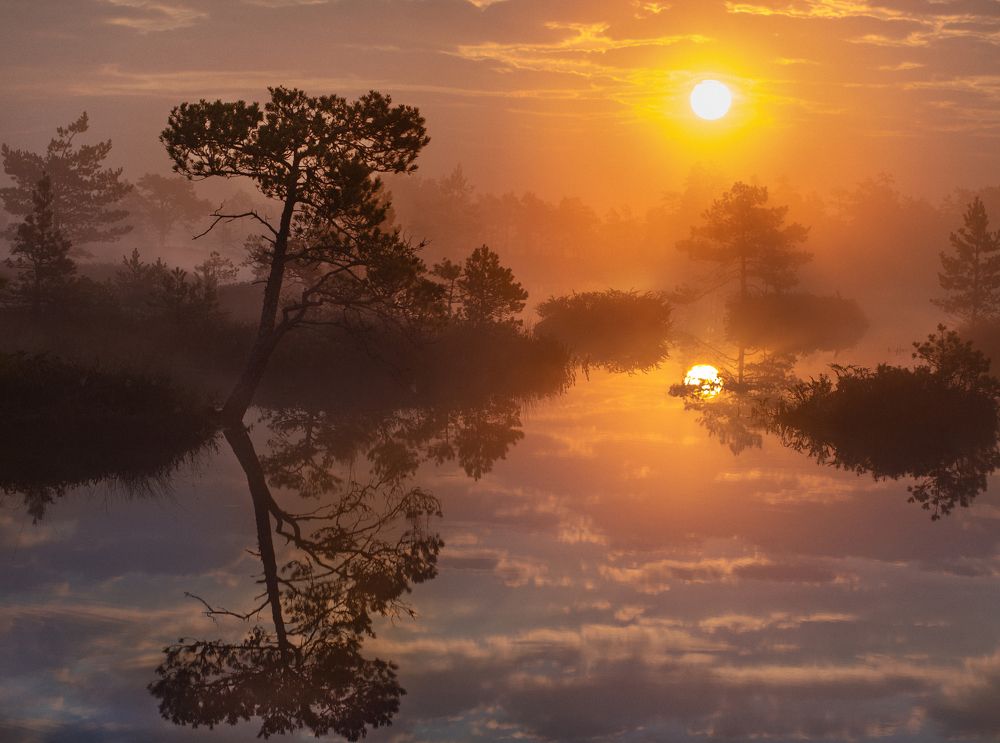 Photograph by Анастасия