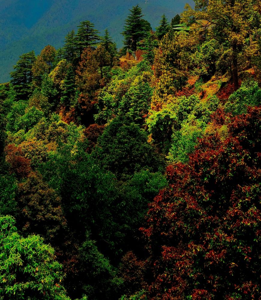 Photograph by Kapil Singh