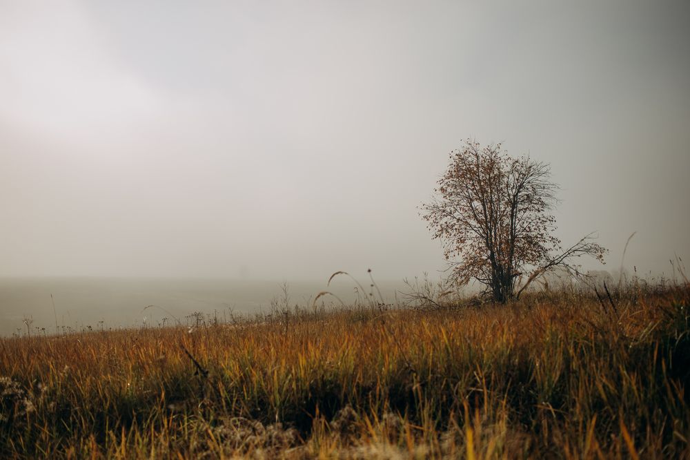 Photograph by Юлия Илларионова