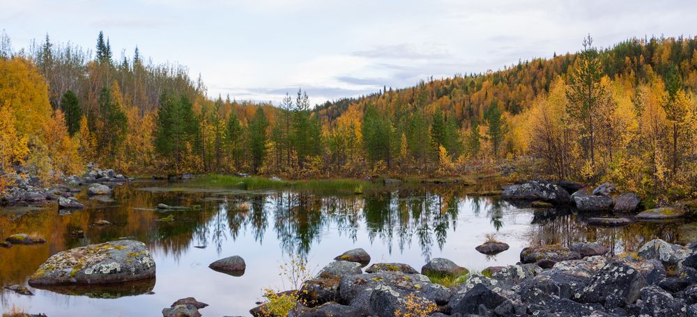Фотография автора Андрей Русских