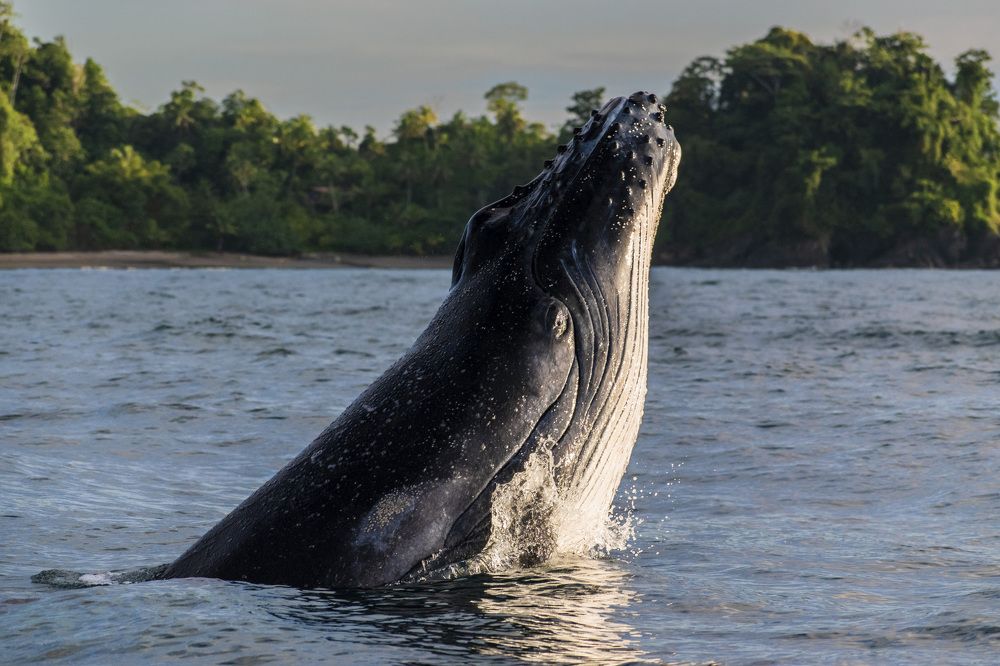 Photograph by Esteban Duque Mesa