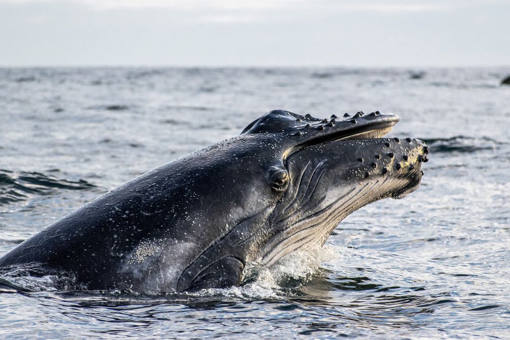 Photograph by Esteban Duque Mesa