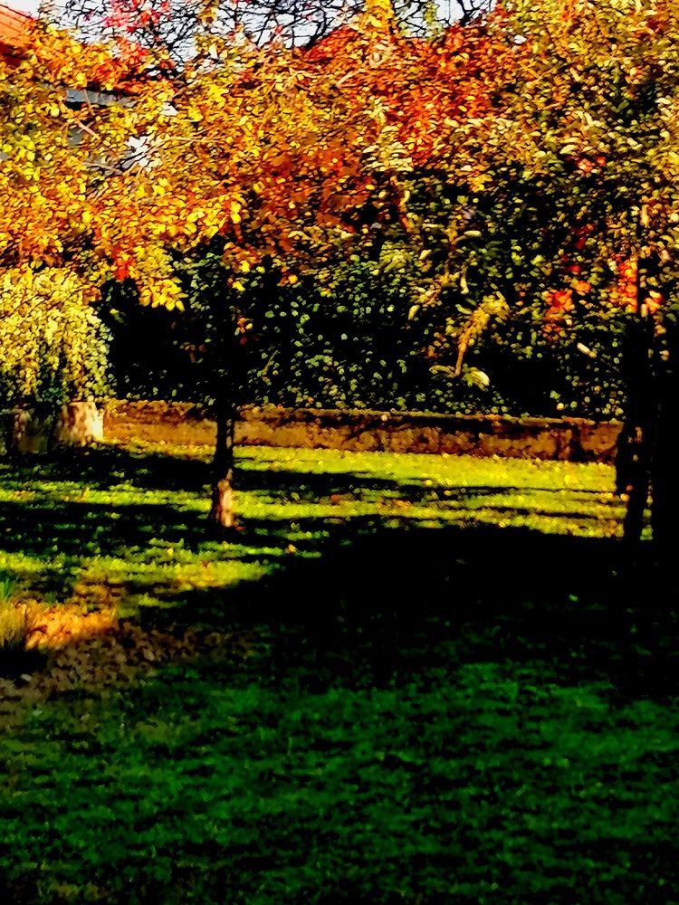 Photograph by Vesna Petkoska