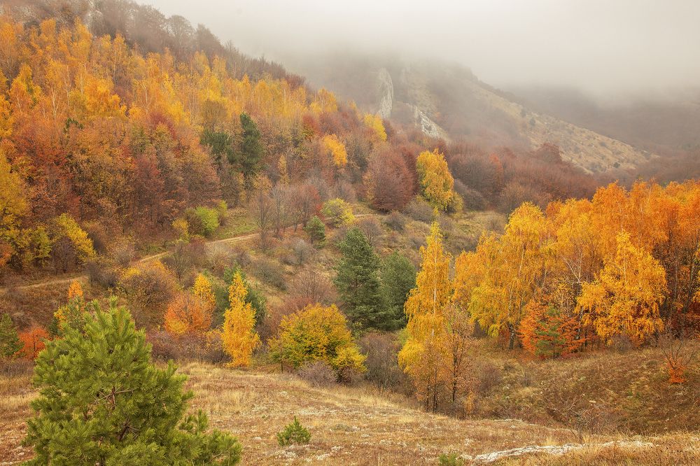 Photograph by Елена Гусева