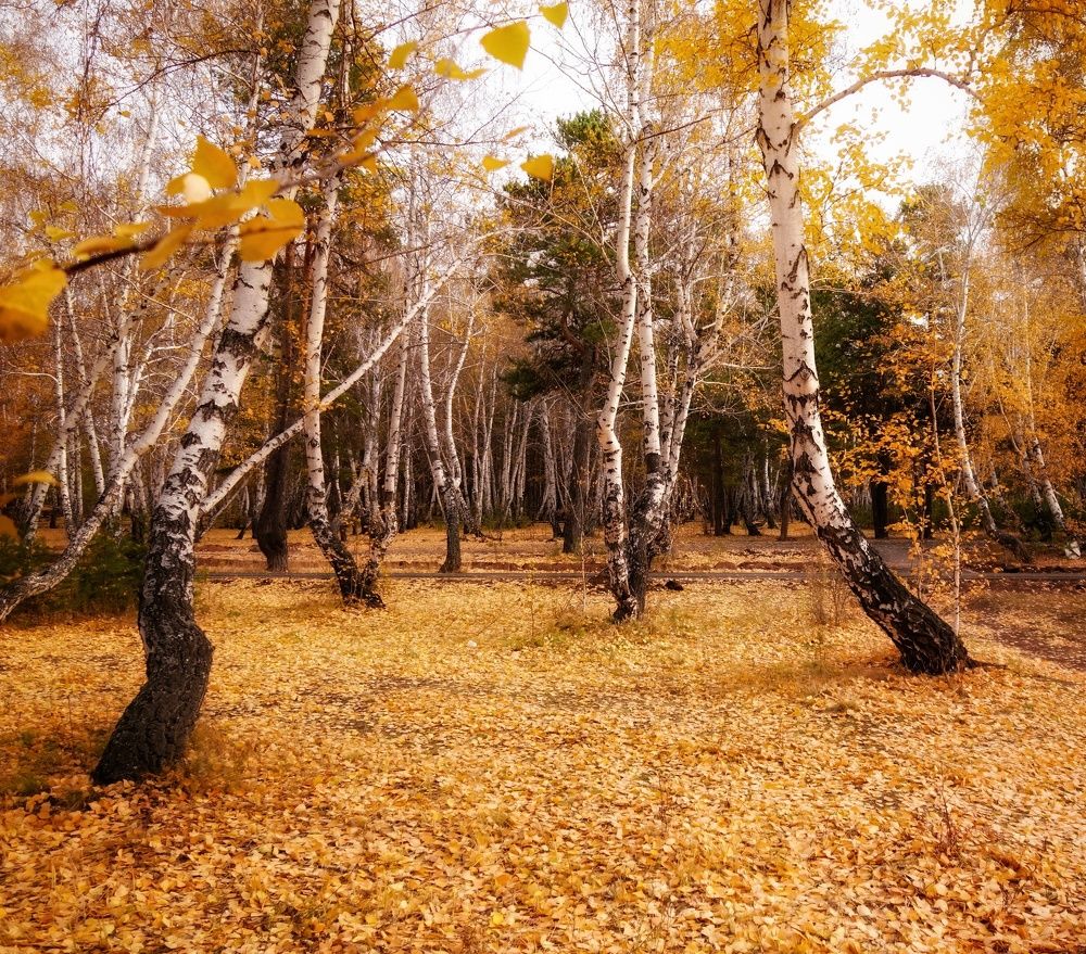 Фотография автора Марина