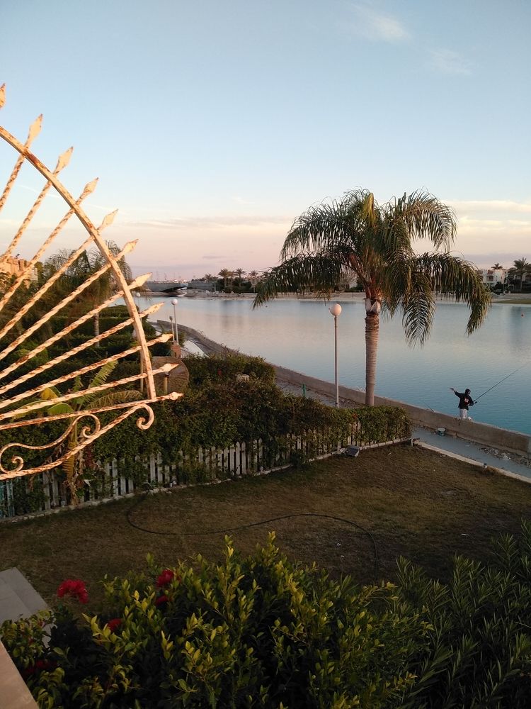 Photograph by Ольга Сафронова