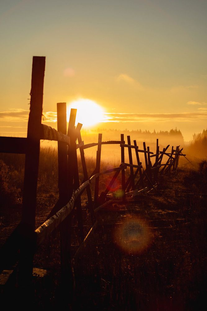 Photograph by Сергей Леканов
