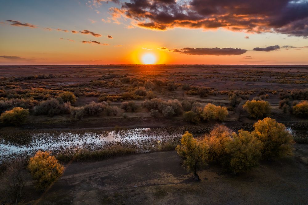 Photograph by Дмитрий Власов