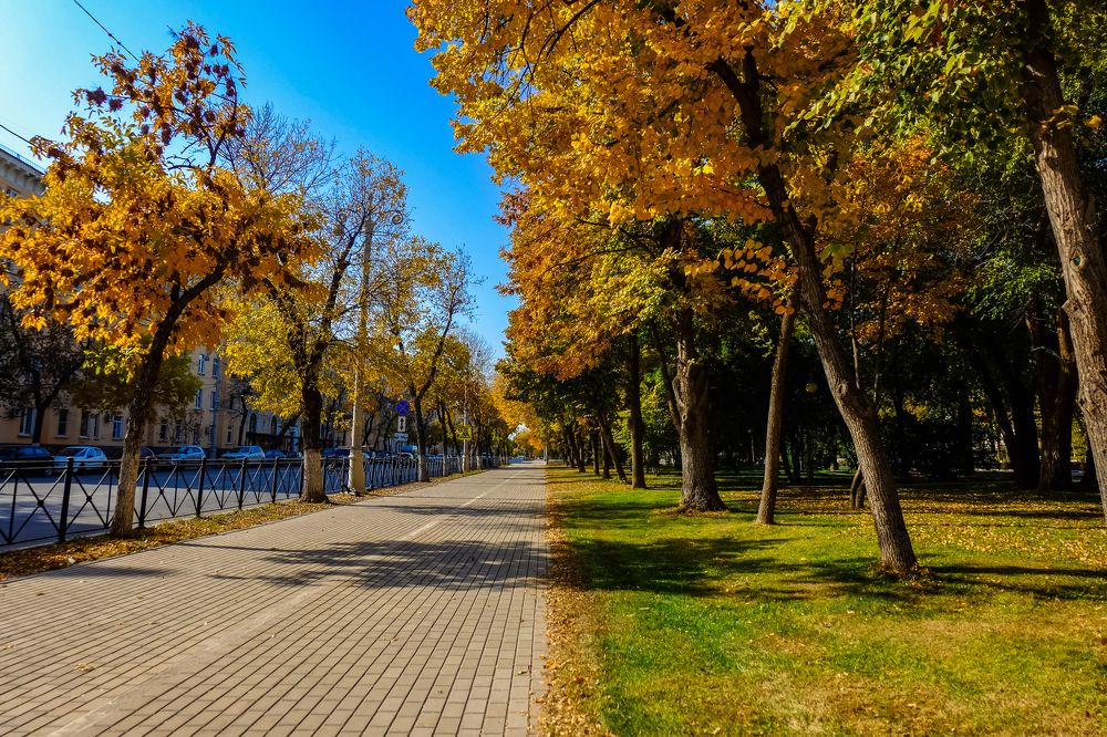 Photograph by Дмитрий Власов