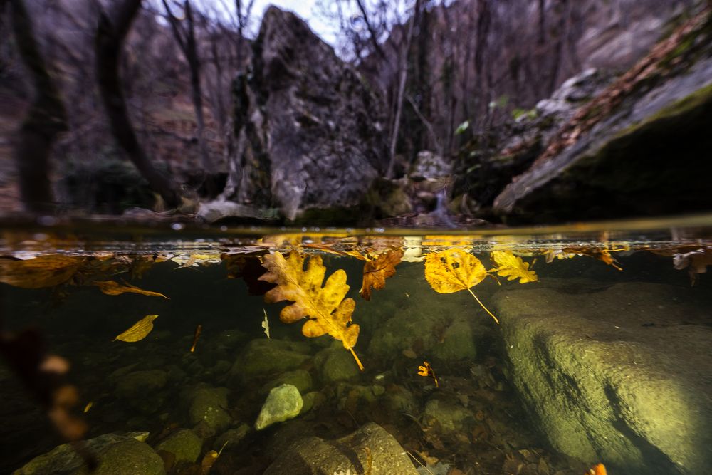Photograph by Валерий Лейко