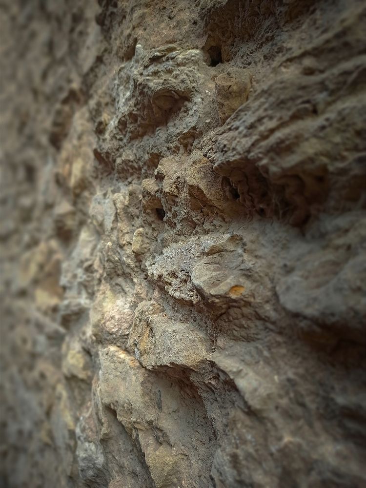 Photograph by Оксана Дмитриева