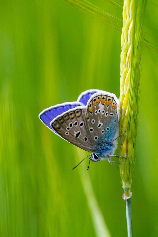Photograph by Юрий Поповчак