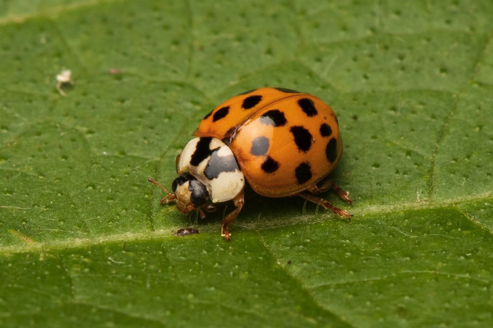 Photograph by MARÍA CECILIA REY