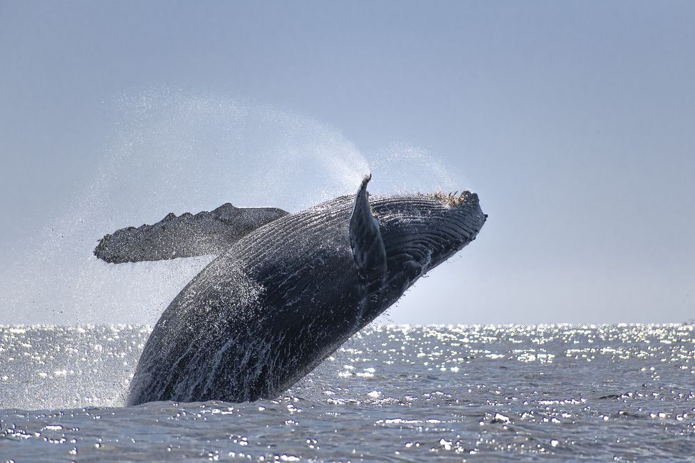 Photograph by Esteban Duque Mesa