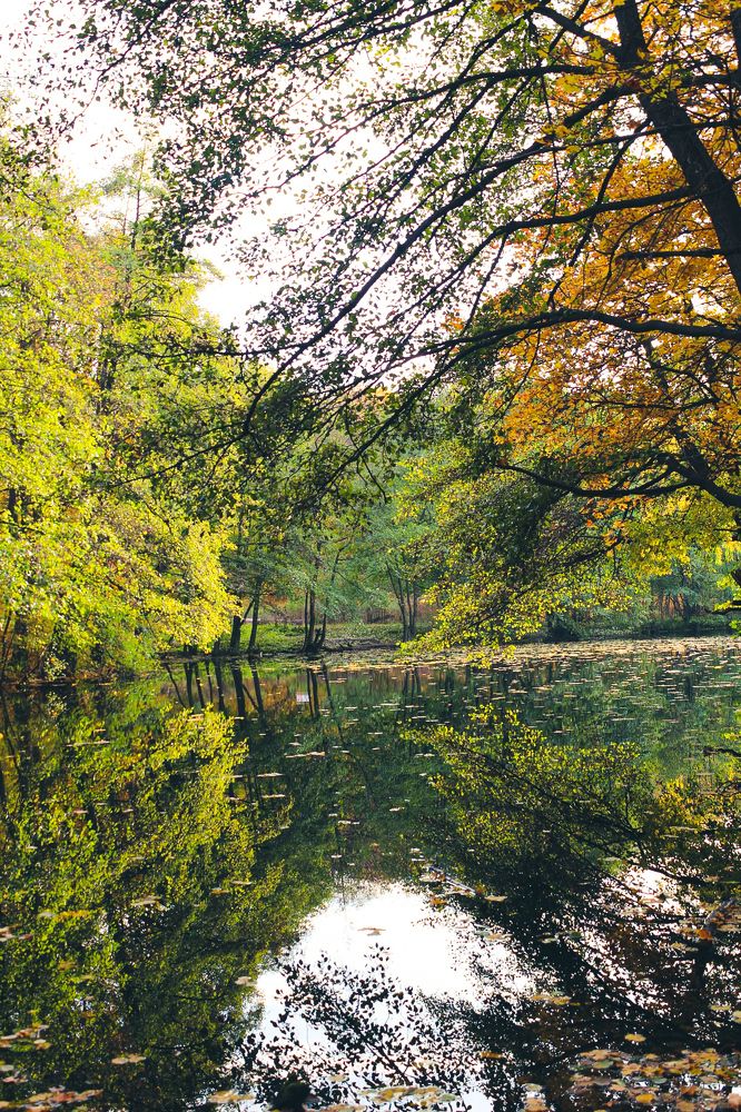 Photograph by Эльвира Куликова